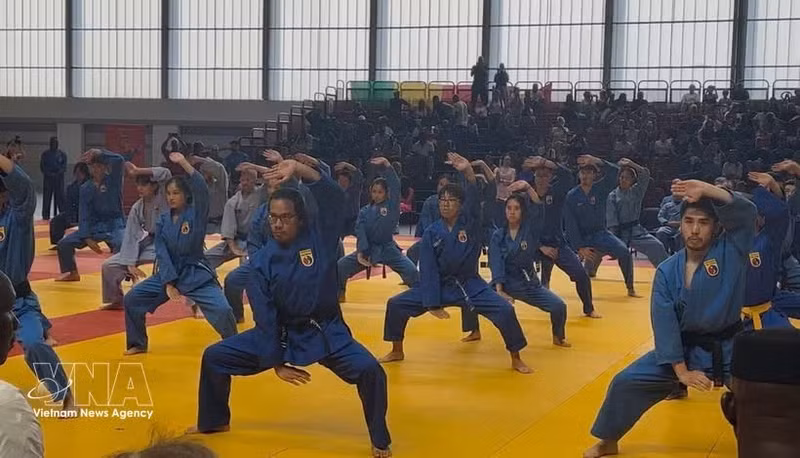 La 7ᵉ édition du Championnat du monde de Vovinam - Viet Vo Dao, organisée du 22 au 25 juillet à Paris. Photo : VNA.