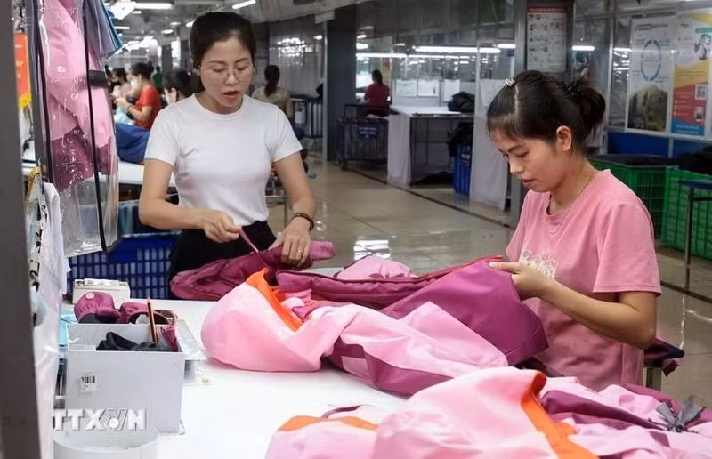 L’accès au marché européen requiert le respect strict des normes relatives à la sécurité, à la qualité, à l’origine des produits. Photo : VNA.