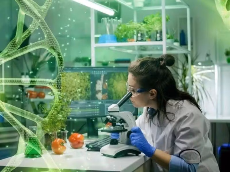 Développer l'industrie biotechnologique pour remplacer au moins 50 % des produits importés