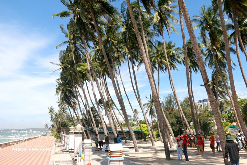 Mui Ne, une destination balnéaire réputée pour ses plages de sable fin bordées de cocotiers. Photo: VNA