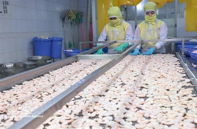 Crevettes transformées pour l'exportation par la société Huy Nam. Photo : VNA.