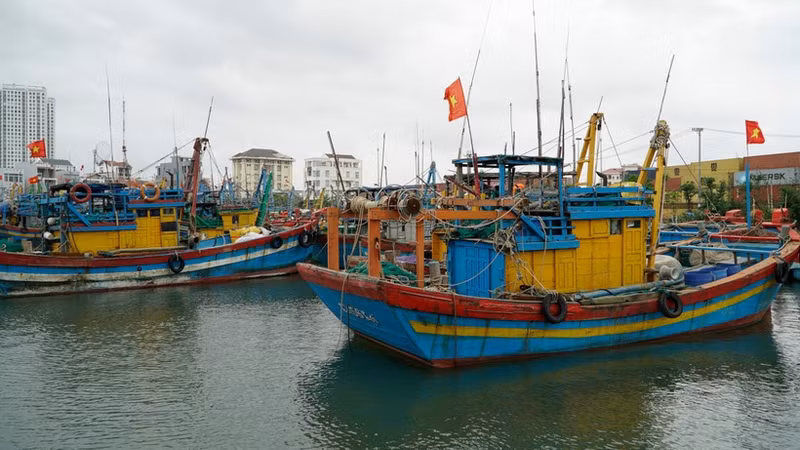 Des navires de pêche non conformes sont organisés pour un stationnement groupé. Photo: VNA