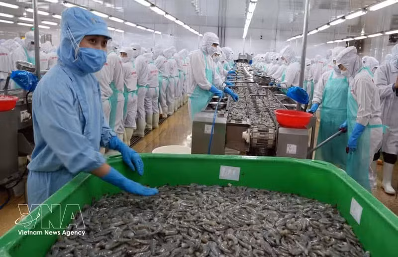 Transformation de produits aquatiques dans la province de Ca Mau. Photo : VNA.