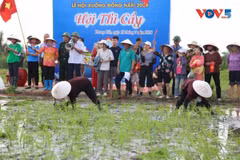 La fête a été reconnue comme patrimoine culturel immatériel national par le ministère de la Culture, des Sports et du Tourisme en 2024. Photo : VOV.