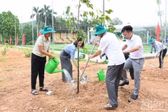 Cette année, le Vietnam répond au thème des Nations Unies : « Identifier les ressources foncières - Respecter la nature - Restaurer les écosystèmes », soulignant le rôle des terres, des forêts, des ressources en eau et des écosystèmes naturels dans le développement durable. Photo : NDEL