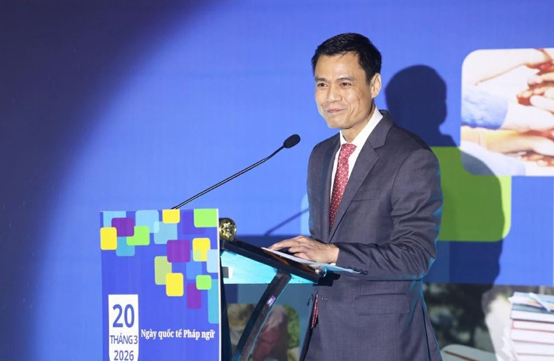 Le vice-ministre des Affaires étrangères Dang Hoang Giang. Photo : baoquocte