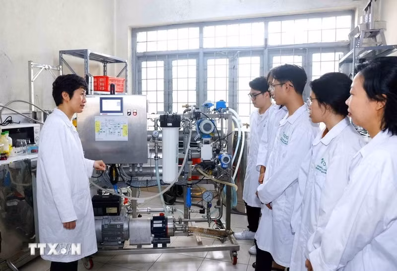 Le Parti, l’État et le Gouvernement ont intensifié leur pilotage pour engendrer des transformations substantielles dans le développement de l’être humain, l’éducation et la formation, les sciences, les technologies et l’innovation. Photo : VNA.