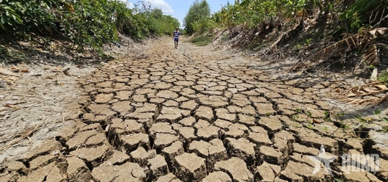 Le canal Suon, traversant la commune de Tan Tap, district de Cân Giuôc, province de Long An, à sec en raison d’une sécheresse prolongée et de la salinité en 2024. Photo : qdnd.vn