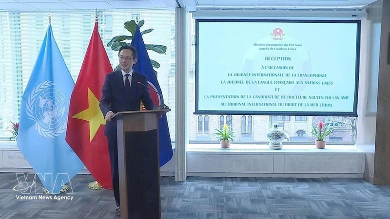 L'ambassadeur Do Hung Viet, chef de la Mission permanente du Vietnam auprès des Nations Unies. Photo: VNA