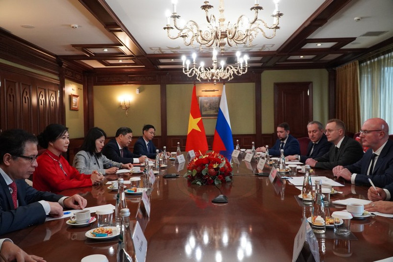 Madame Ngo Phuong Ly, épouse du secrétaire général du Parti communiste du Vietnam, To Lam, rencontre le vice-Premier ministre russe Dmitry Chernyshenko. Photo : VNA.