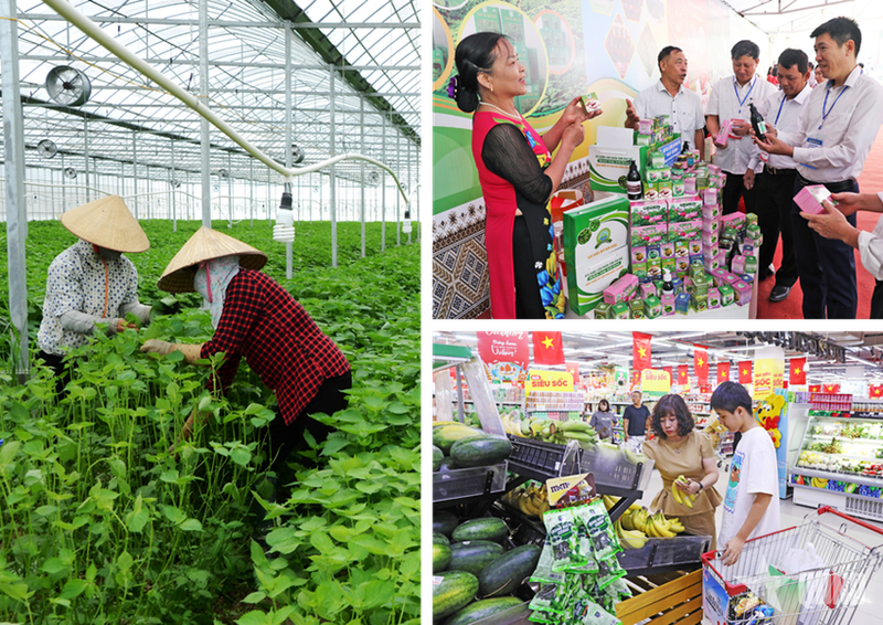 Le secteur agricole continue de se développer de manière exhaustive, la valeur de la production agricole de haute technologie représentant plus de 30% de l'ensemble du secteur de la province de Bac Ninh. Photo: qdnd.vn