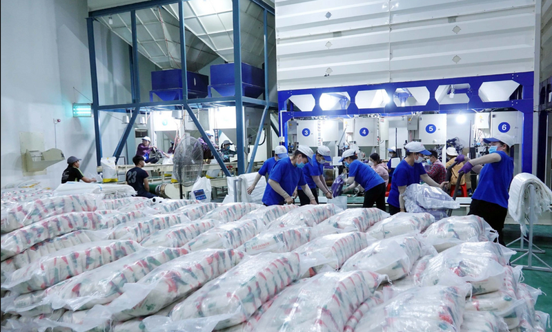 Les avantages tarifaires des accords CPTPP ou RCEP apportent des bénéfices tarifaires plus clairs que pour les marchés sans ALE avec le Japon. Photo : congthuong