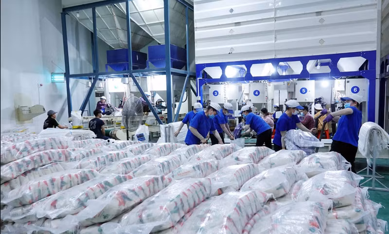 Les avantages tarifaires des accords CPTPP ou RCEP apportent des bénéfices tarifaires plus clairs que pour les marchés sans ALE avec le Japon. Photo : congthuong