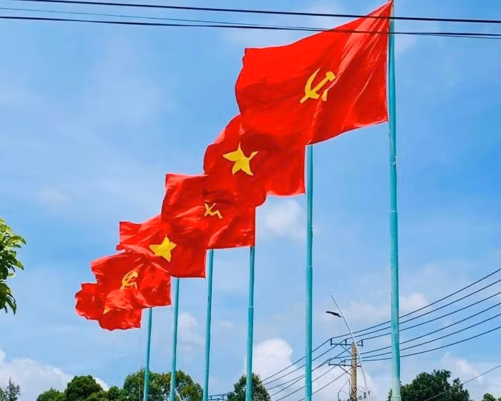 Photo : sggp.vn