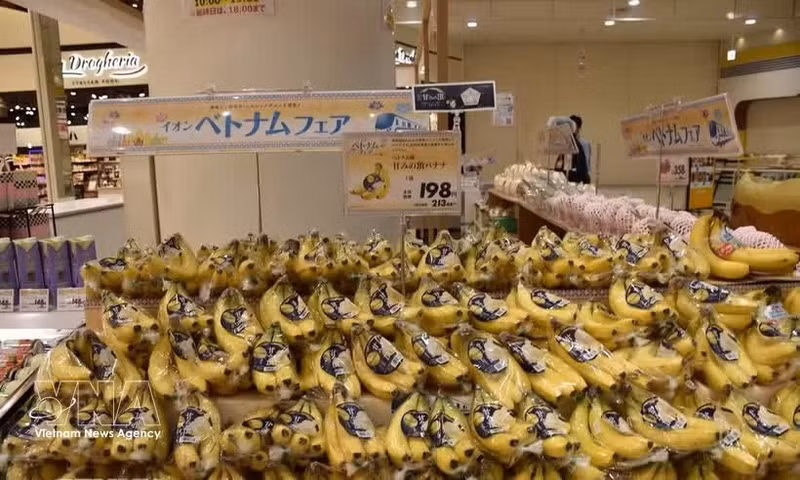 Les bananes vietnamiennes sont vendues environ 200 yens le paquet de quatre (environ 34 000 VND) au supermarché Aeon. (Photo : VNA)