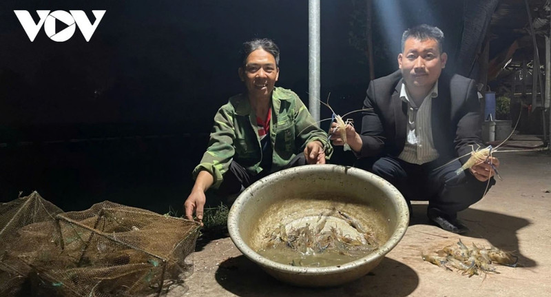 La coopération entre les coopératives et les entreprises est un moteur essentiel pour la restructuration agricole. Photo: VOV