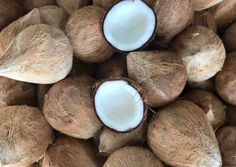 Le Vietnam a dépensé 7,2 millions de dollars pour importer de la noix de coco transformée au cours des quatre premiers mois, soit une augmentation de 11,3 fois par rapport à la même période l'année dernière. Photo: congthuong