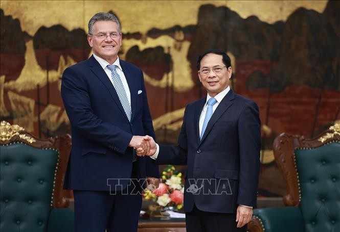 Le vice-Premier ministre Bui Thanh Son (droite) et Maros Sefcovic, commissaire européen au Commerce et à la Sécurité économique de l’Union européenne. Photo : VNA.