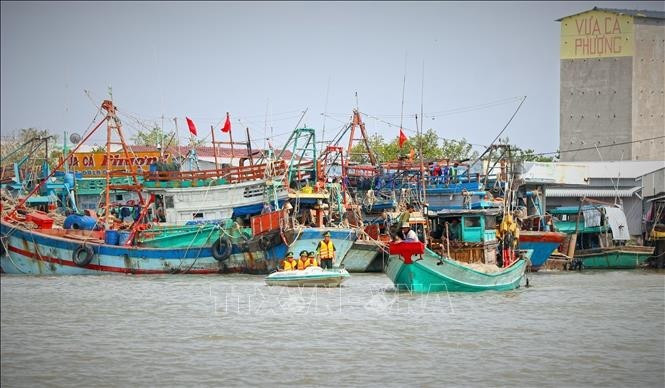 Des agents se rendent directement à bord pour expliquer en détail les réglementations relatives à la lutte contre la pêche INN. Photo : VNA.