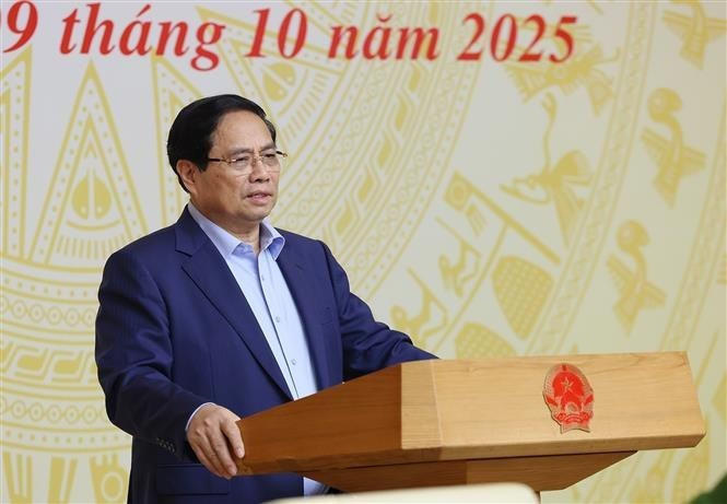 Le Premier ministre Pham Minh Chinh lors de la réunion. Photo : VNA.