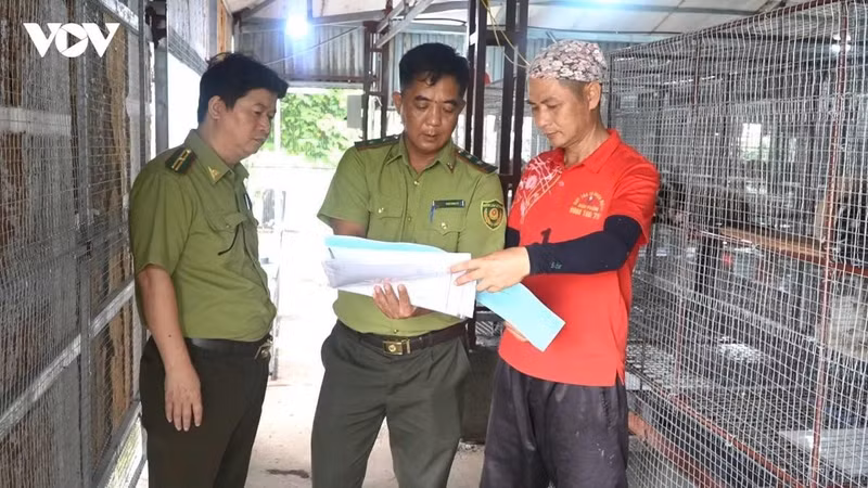 Des gardes forestiers inspectent et conseillent Hoang Van Khanh, de la commune de Kha Son, afin qu'il se conforme à la réglementation sur l'élevage et la reproduction des animaux sauvages. Photo: VOV