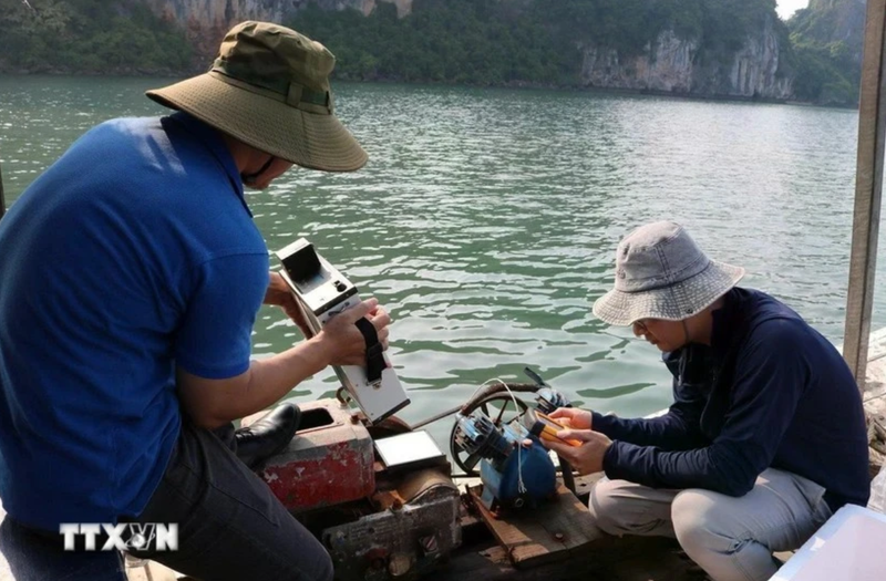 Des scientifiques vietnamiens et polonais ont récemment lancé un projet utilisant l’intelligence artificielle (IA) et la télédétection pour surveiller la qualité des eaux marines dans la baie d’Ha Long et la lagune de Cua Luc. Photo : VNA.