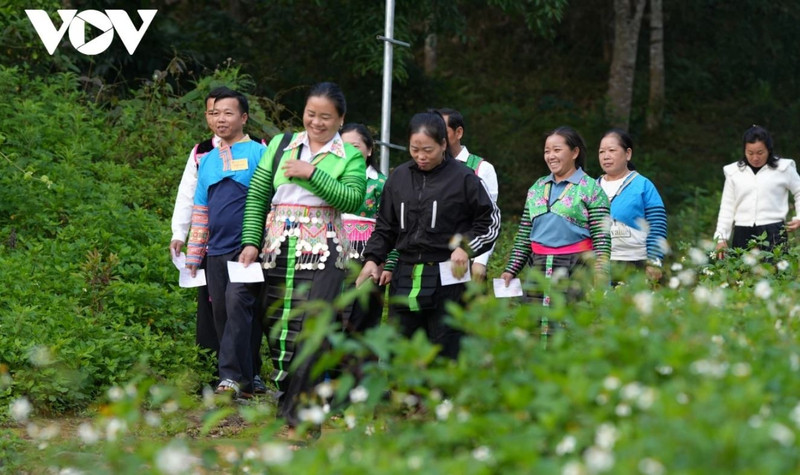 Dans la brume matinale de la frontière, des groupes d'habitants de l'ethnie Mong de la commune de Nhi Son, vêtus de leurs costumes traditionnels flamboyants, ont suivi les sentiers tortueux descendant du village vers le point de vote. Photo: VOV