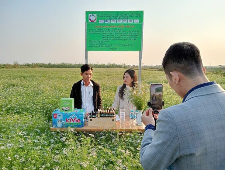 Photo d'illustration: hanoimoi.vn