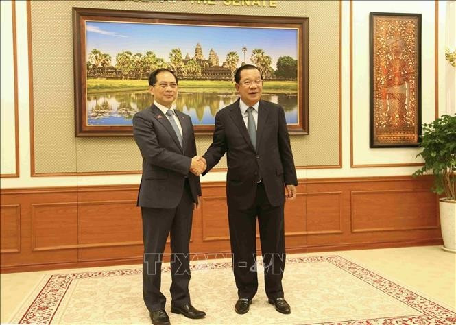 Le vice-Premier ministre vietnamien Bui Thanh Son (à gauche) et le président du Sénat cambodgien et président du Parti du peuple cambodgien (PPC), Samdech Techo Hun Sen. Photo : VNA