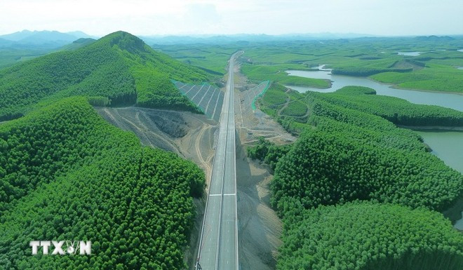 L’un des piliers essentiels permettant au Vietnam d’atteindre son objectif de neutralité carbone d’ici 2050 réside dans les importants puits de carbone que constituent ses forêts, ses mers et ses écosystèmes naturels. Photo : VNA