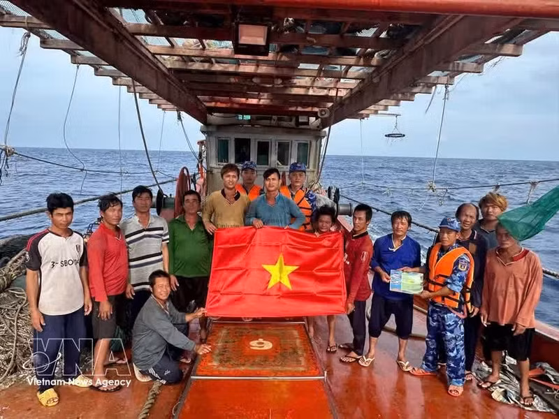 Hô Chi Minh-Ville déterminée à lever le « carton jaune » de la CE. Photo : VNA.