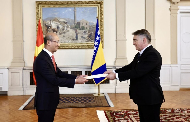 Lors de la cérémonie de présentation des Lettres de créance. Photo : VOV