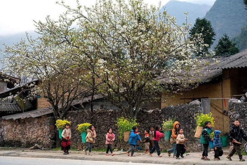 L'Assemblée nationale a approuvé l'investissement de 423 000 milliards de dôngs au Programme cible national pour l'édification de la Nouvelle ruralité, la réduction durable de la pauvreté et le développement socio-économique des zones montagneuses et peuplées de minorités ethniques pour la période 2026-2030. Photo: VNA