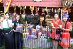 Suoi To : un marché montagnard au cœur des traditions Hmong