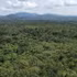 La Réserve naturelle d’Ea So, dans la province de Dak Lak. Photo : VNA.