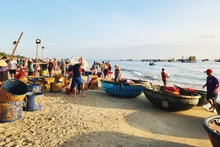 La beauté du marché de Tam Tien. Photo : NDEL