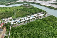Zone résidentielle concentrée au milieu de l'écosystème de mangrove sur le hameau de l'île de Thieng Lieng. Photo : VNA. 