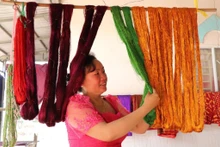 Chanh Da Ty, patronne d’un atelier de tissage dans la commune de Van Giao, vérifie la soie après sa teinture.