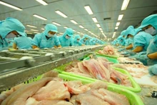 Transformation du pangasius pour l'exportation. Photo : NDEL.