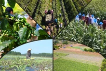 La transition verte : une condition préalable au renforcement de la compétitivité nationale.