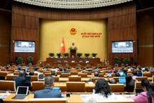 Lors de la 10e session de l'AN de la XVe législature. Photo: quochoi.vn 