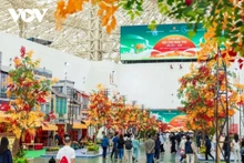 L’espace « Quintessence de l’automne de Hanoï » est soigneusement conçu avec une gamme complète de couleurs, d'images et de saveurs invitant les visiteurs à ressentir l'atmosphère caractéristique de l'automne à Hanoï. Photo : VOV