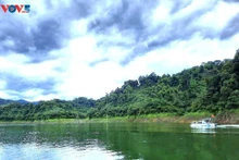 Parc national de Vu Quang, la "Perle verte" de Hà Tinh. Photo: VOV