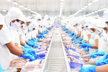 Transformation de pangasius pour l'exportation à la société par actions Vinh Hoan. Photo : THANH NGOC