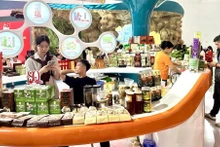 Hanoi accueillera tous les deux ans la Journée internationale de la culture et des arts