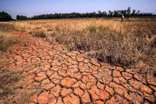 Le Japon propose une coopération avec l'ASEAN en matière de prévention des catastrophes naturelles