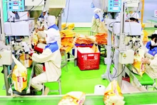 Photo d'illustration : VNA.