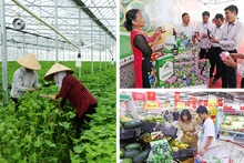 Le secteur agricole continue de se développer de manière exhaustive, la valeur de la production agricole de haute technologie représentant plus de 30% de l'ensemble du secteur de la province de Bac Ninh. Photo: qdnd.vn