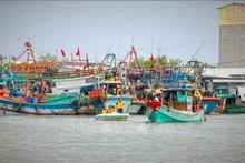 Des agents se rendent directement à bord pour expliquer en détail les réglementations relatives à la lutte contre la pêche INN. Photo : VNA.
