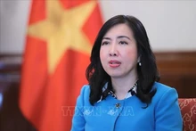 La vice-ministre des Affaires étrangères, Lê Thi Thu Hang. Photo: VNA